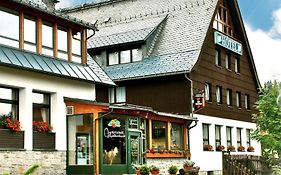 Ferienhotel Mühlleithen Klingenthal